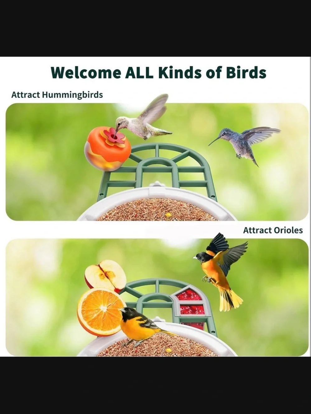 Haymor Green Solar Bird Feeder with Camera New In Box #M2859